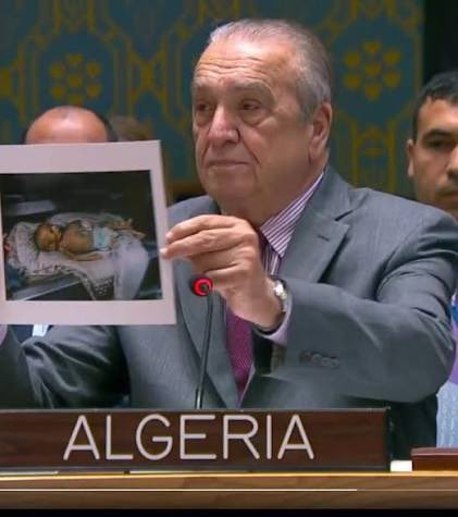 Tere Felipe tweet media