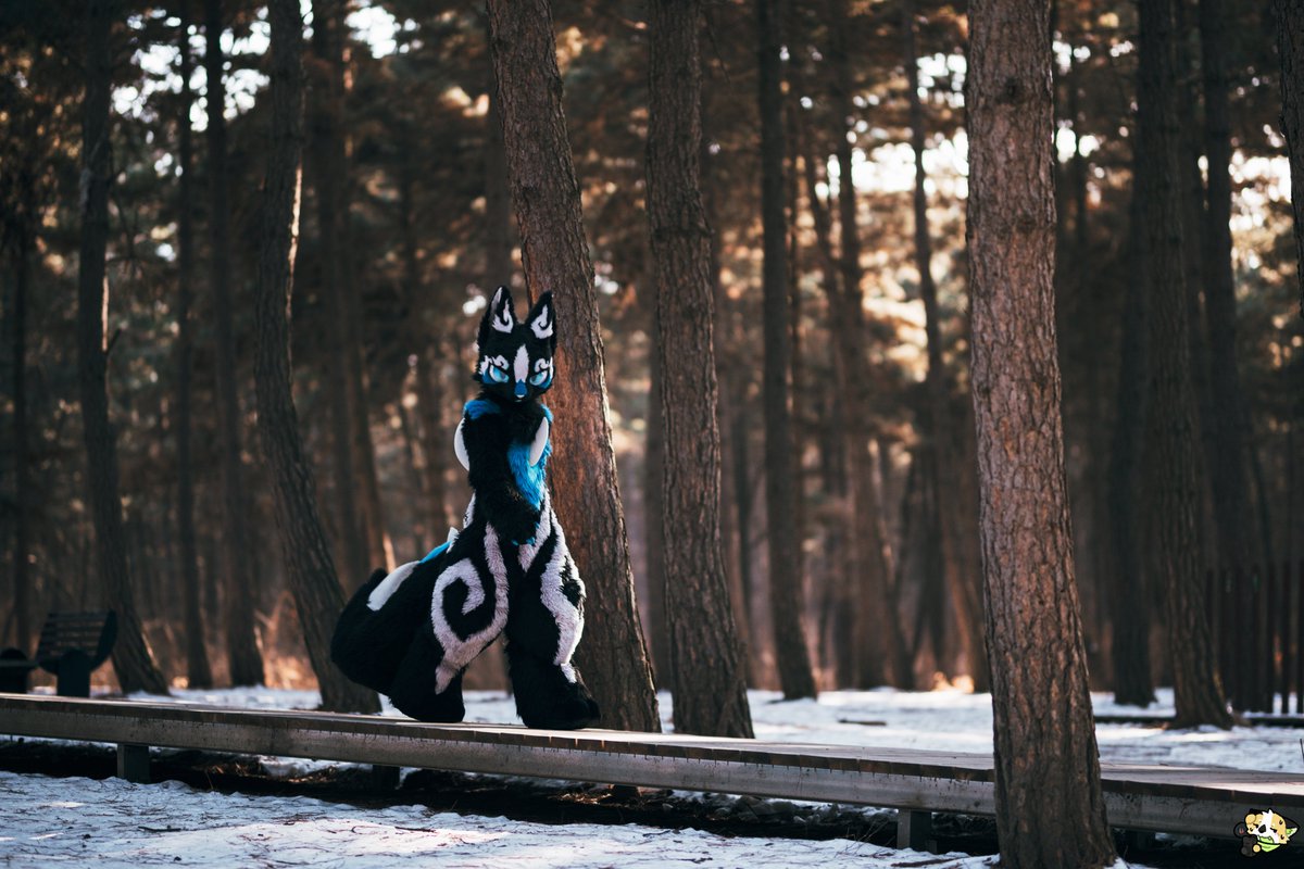 星效-Vulptex tweet media