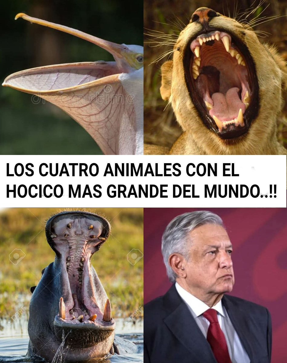 Johana ❤️MX tweet media