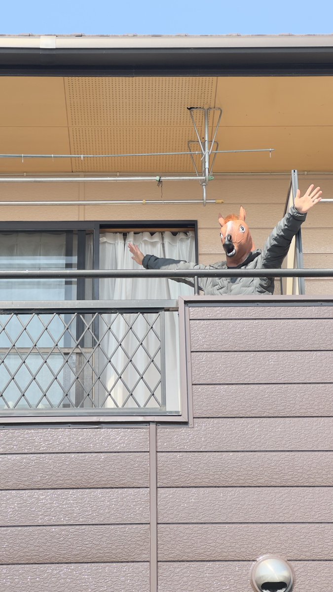 美馬不動産 🐴|徳島県吉野川市鴨島町 tweet media