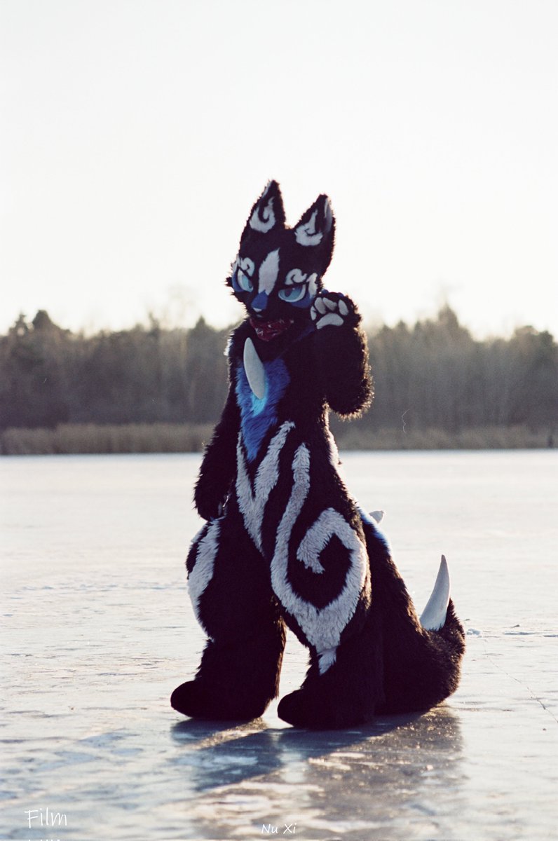 星效-Vulptex tweet media