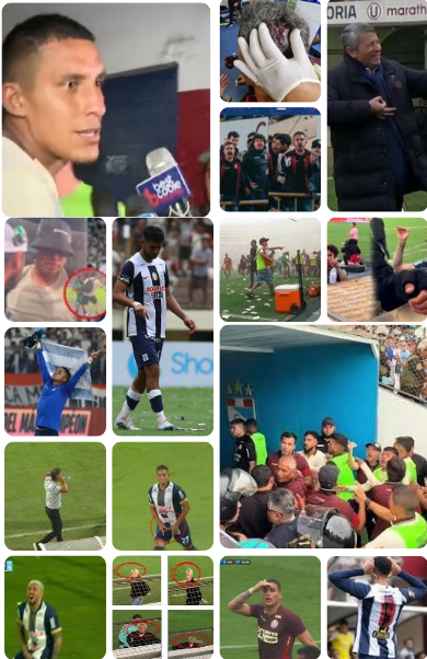 José Kaji tweet media