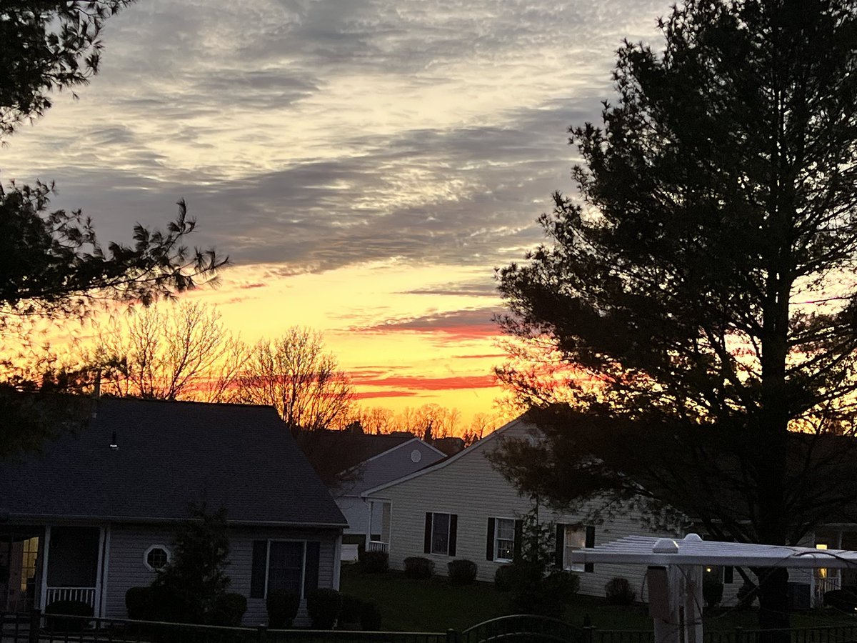 Deb- Portland Row is Our Home tweet media