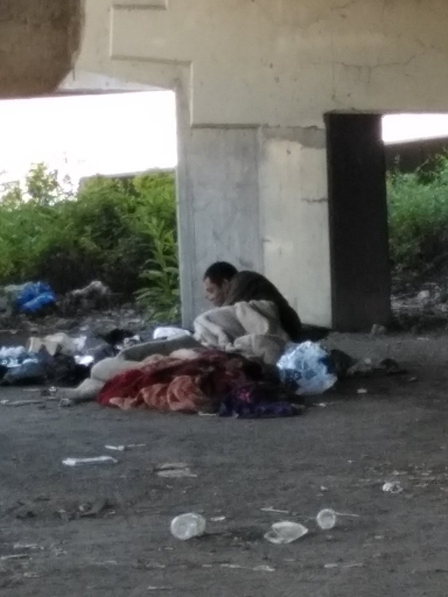 Signman Says tweet media