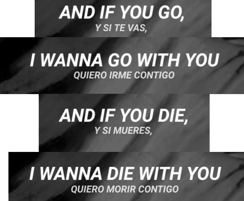 Msmimundo tweet media