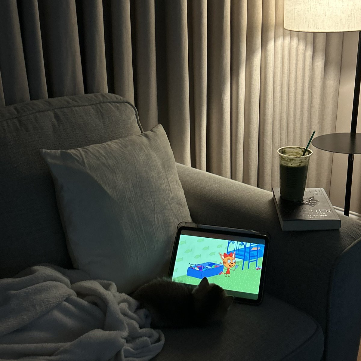 مُثنى tweet media