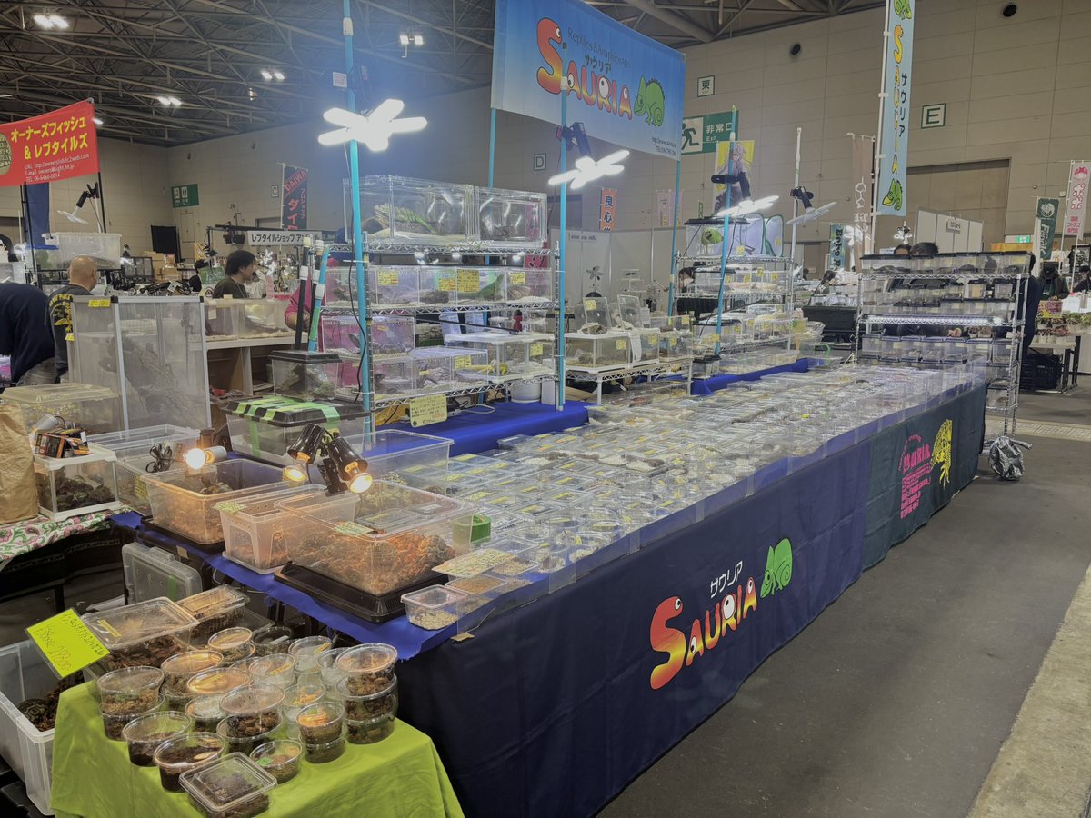 SAURIA守口店 tweet media