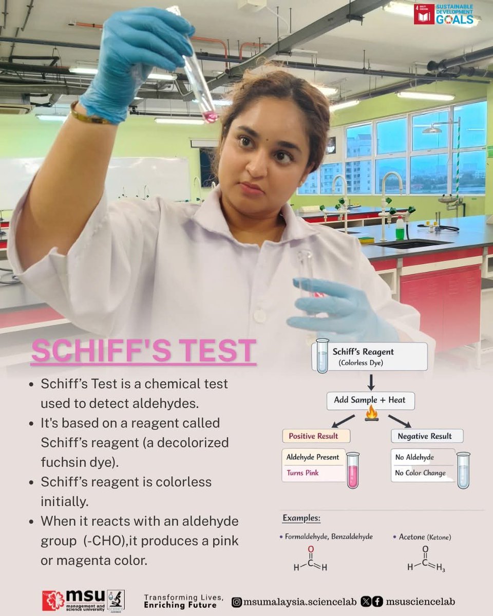 MSUsciencelab's tweet image. Enhancing practical skills through laboratory experience! 🧑🏻‍🔬

#MSUmalaysia students performed Schiff's Test to identify aldehyde compounds based on color change reactions.🎨🧪

#MSUScienceLab 
#LearningExperience
#SDG4 
#beMSUrian