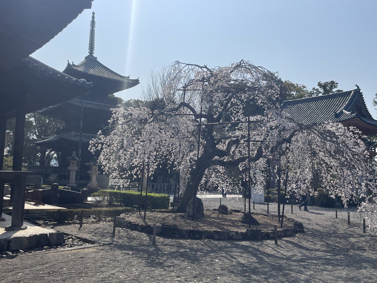 ゆーしぇ@ガンプラ tweet media