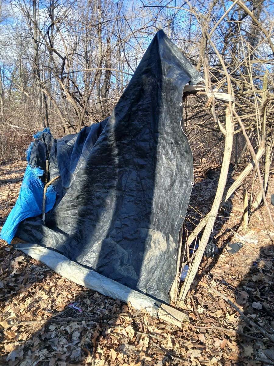 Mike 🇨🇦 tweet media