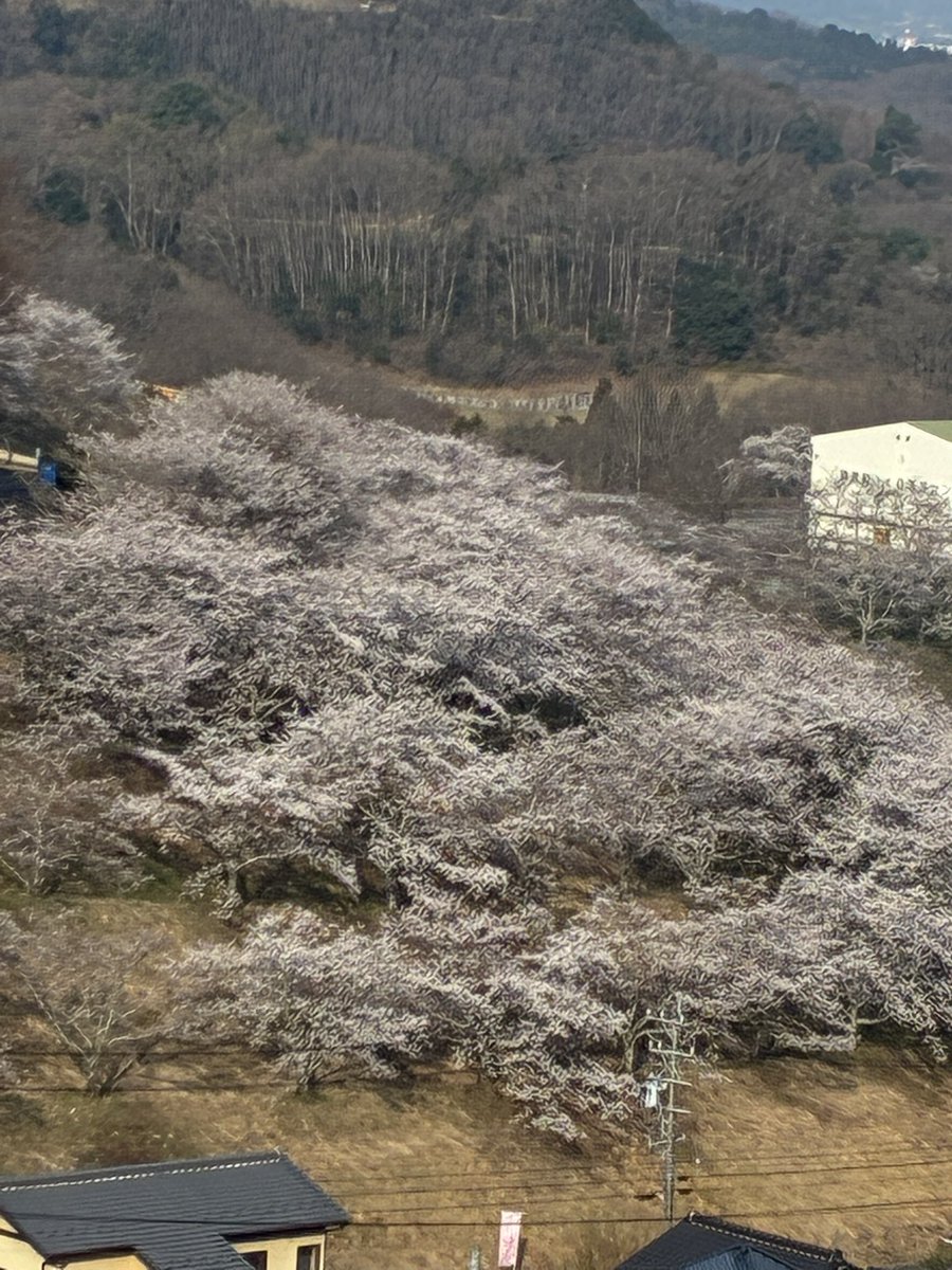 ～mikoron～ROKO🐻 tweet media