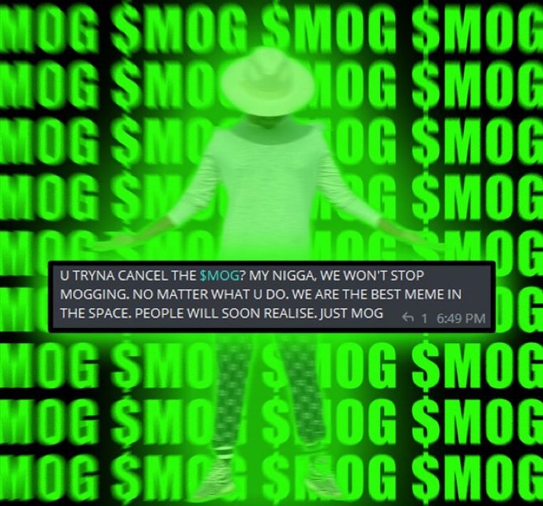 wolf (mog/acc) 🇺🇸 tweet media