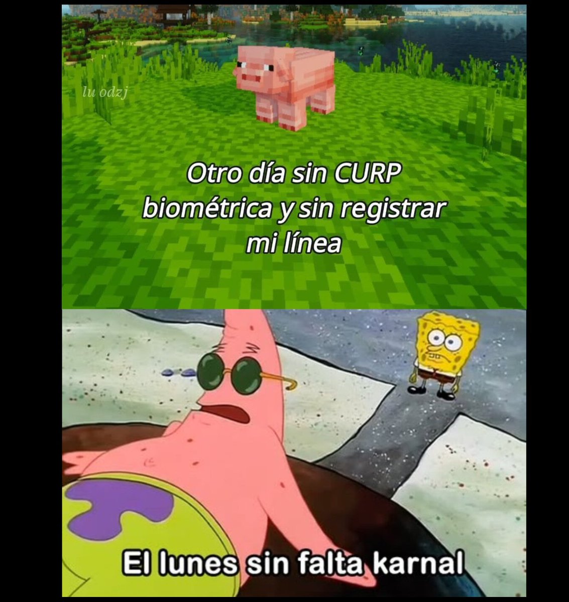 Ing_ebrio's tweet photo. Asi mero bro https://t.co/IK3SfRNKeo