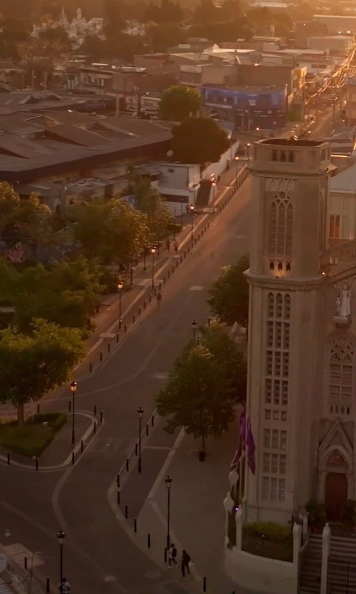 Cesia Mejía tweet media