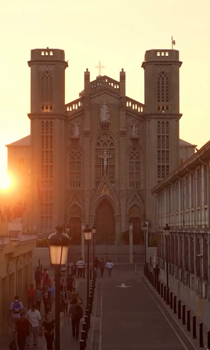 Cesia Mejía tweet media