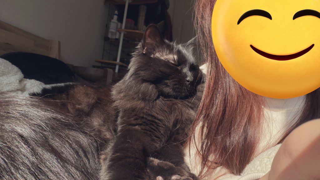 ０１７ tweet media