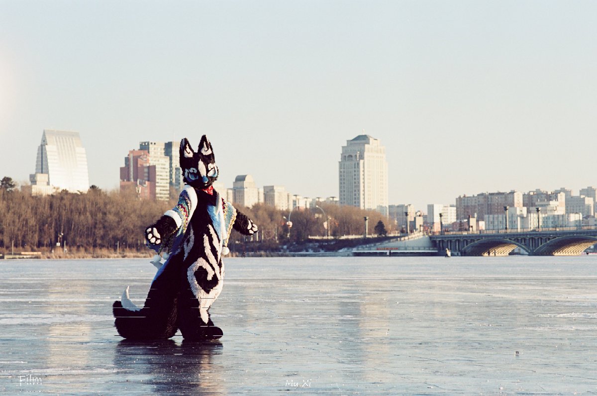 星效-Vulptex tweet media