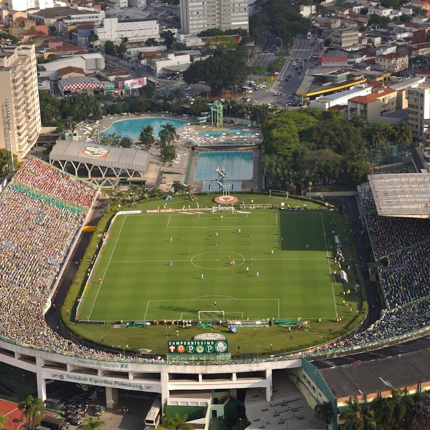 Portal do Palestra | Palmeiras tweet media