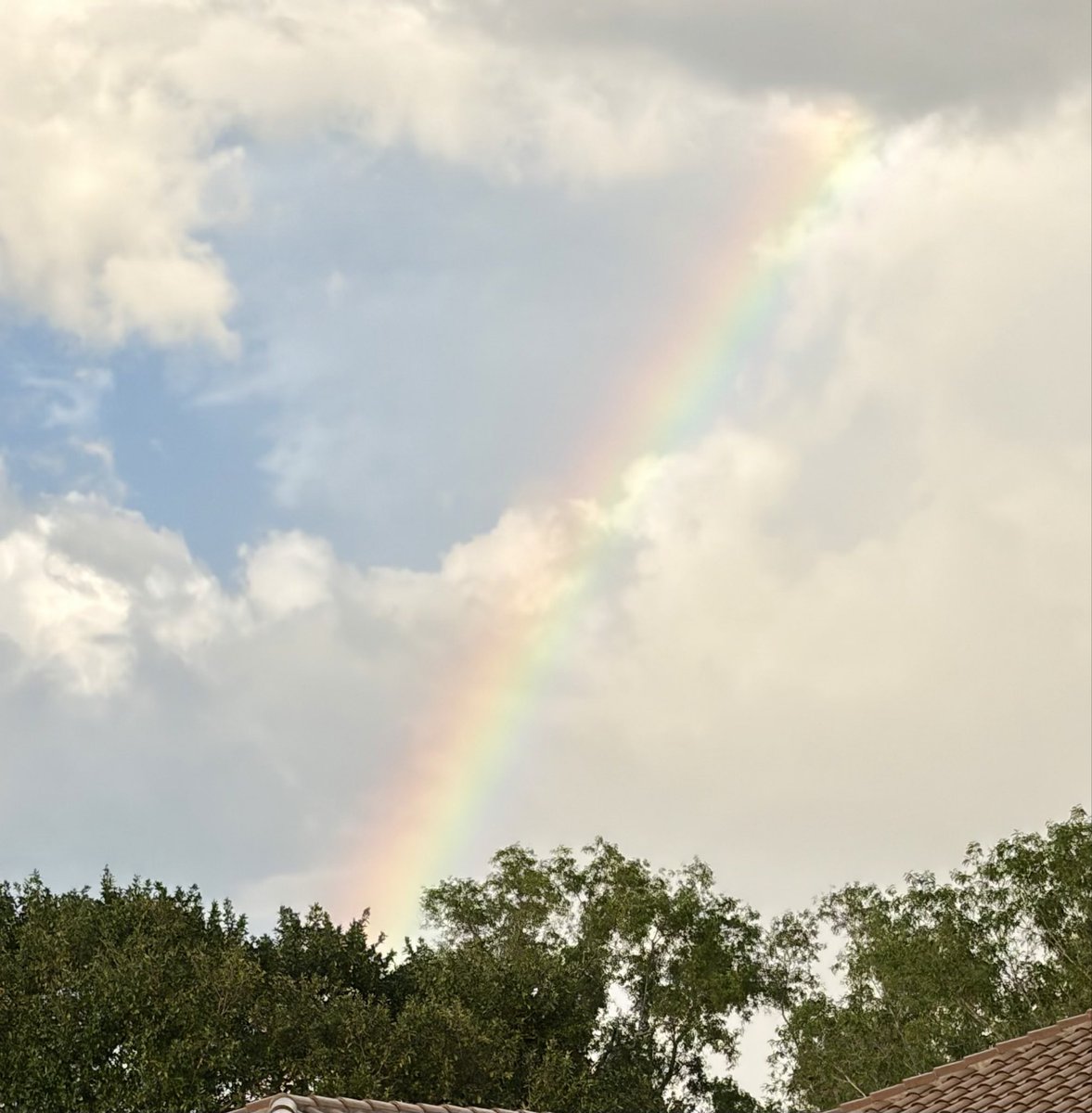 Rtgoddess2 tweet media