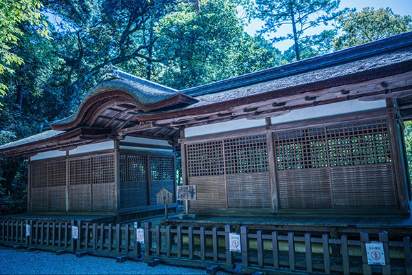 ストレートプレス tweet media