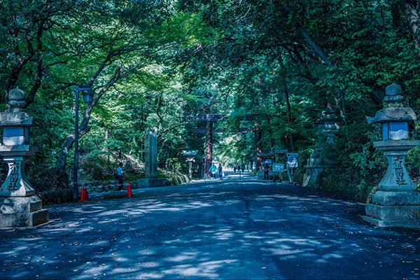 ストレートプレス tweet media