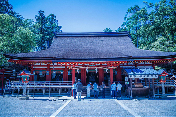 ストレートプレス tweet media