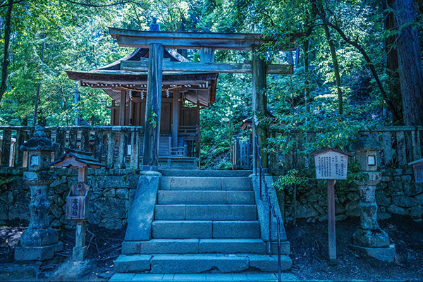 ストレートプレス tweet media