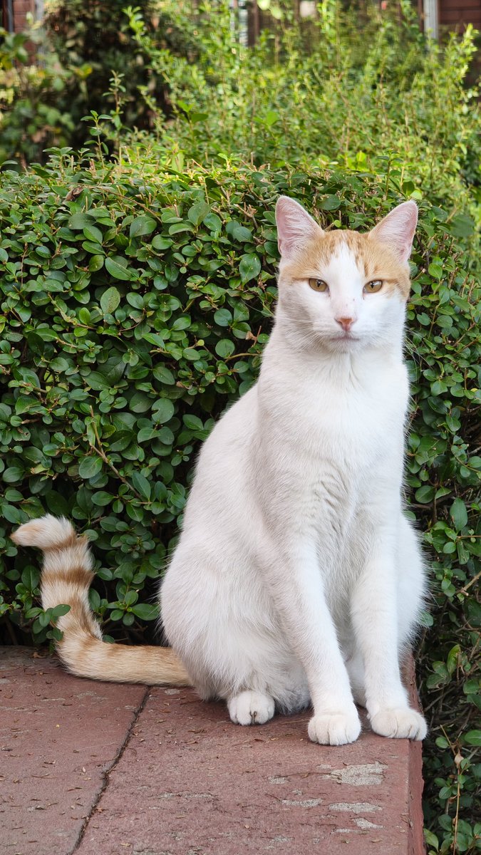 berni🐼✨ tweet media