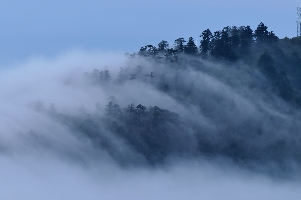 Em Worthey tweet media