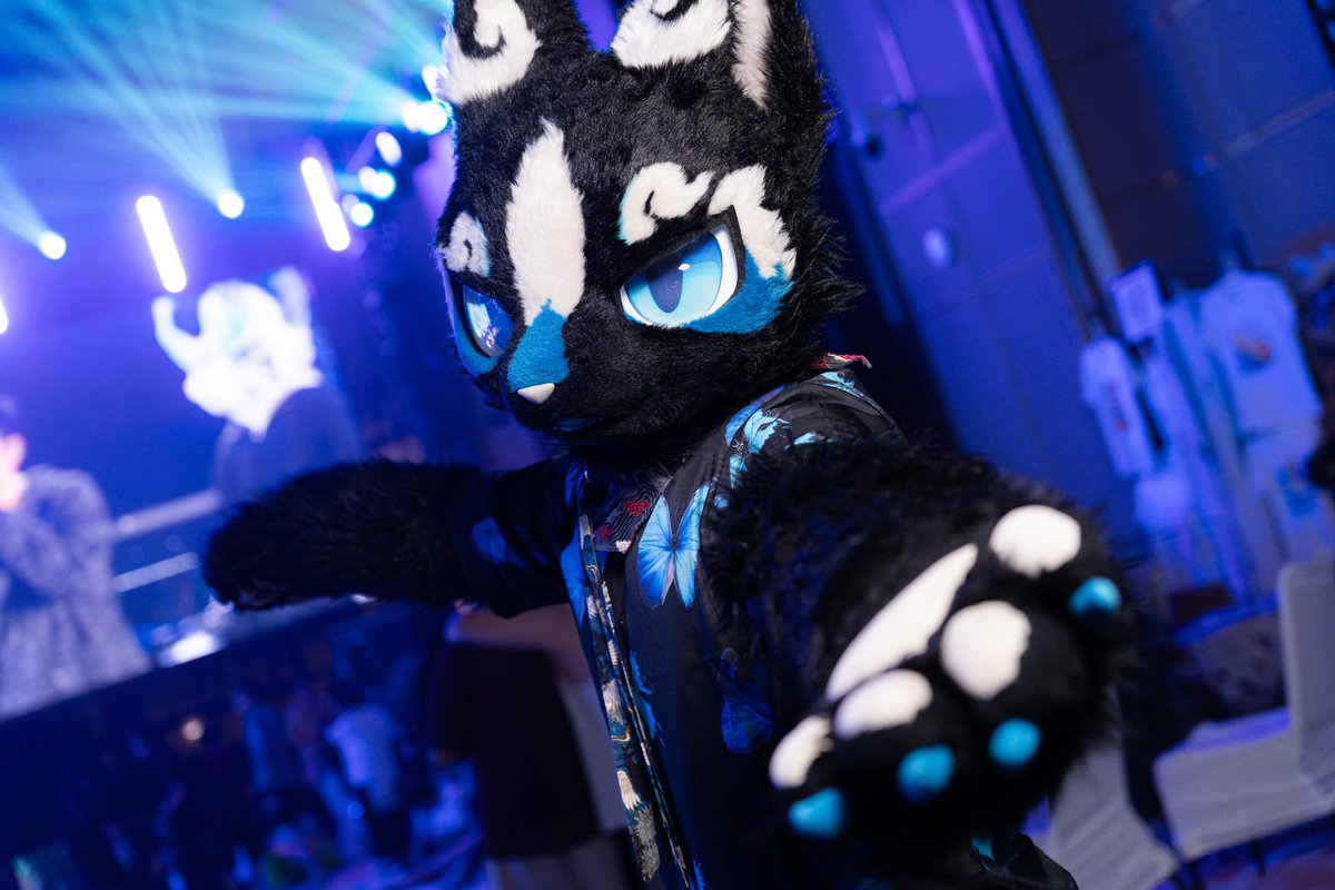 星效-Vulptex tweet media