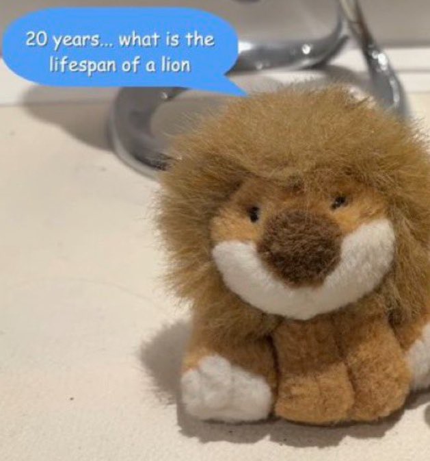 jasmine ☆ tweet media