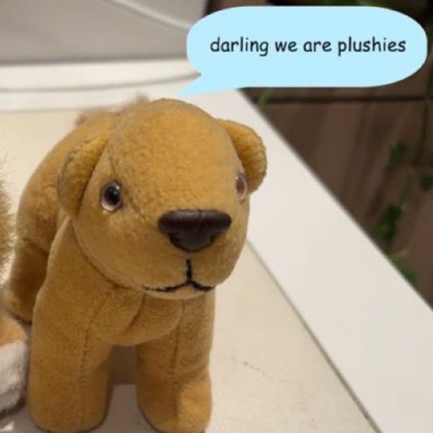 jasmine ☆ tweet media