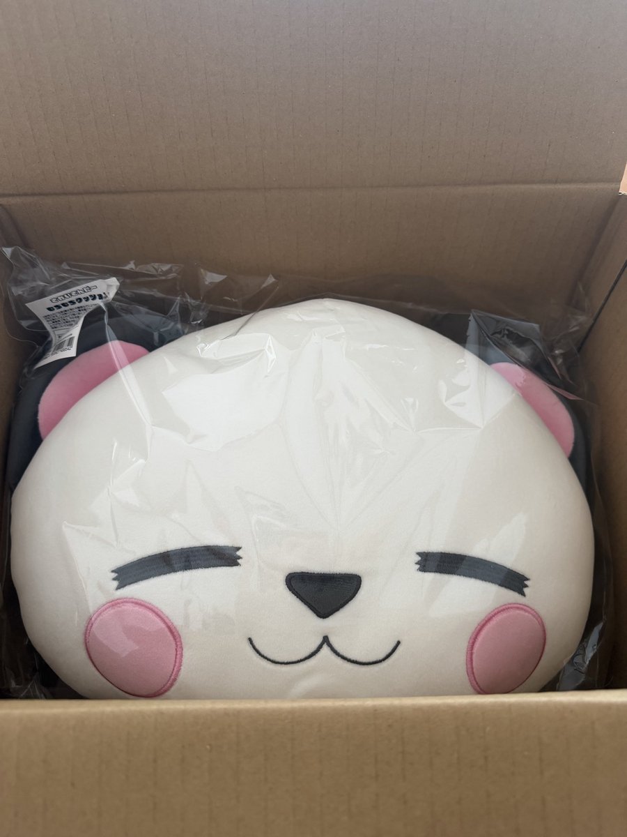 maaa_m48t's tweet photo. きたきたきたー！
待ってました💓
北の大地にも届いたよー！
娘のプレゼントもしっかりと🥹
もふもふ気持ち良い🐼💓

#さかいさんだー https://t.co/Szof4zvSew