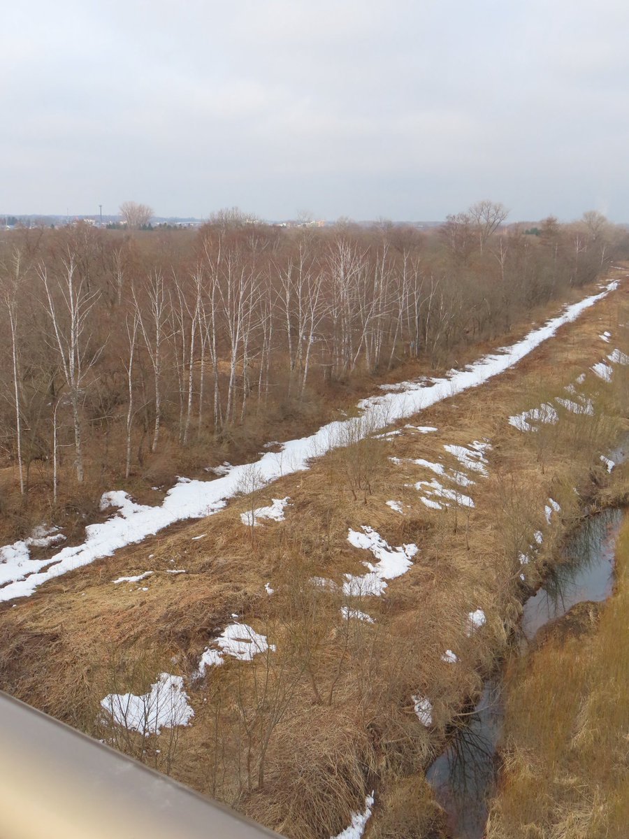 あいど tweet media