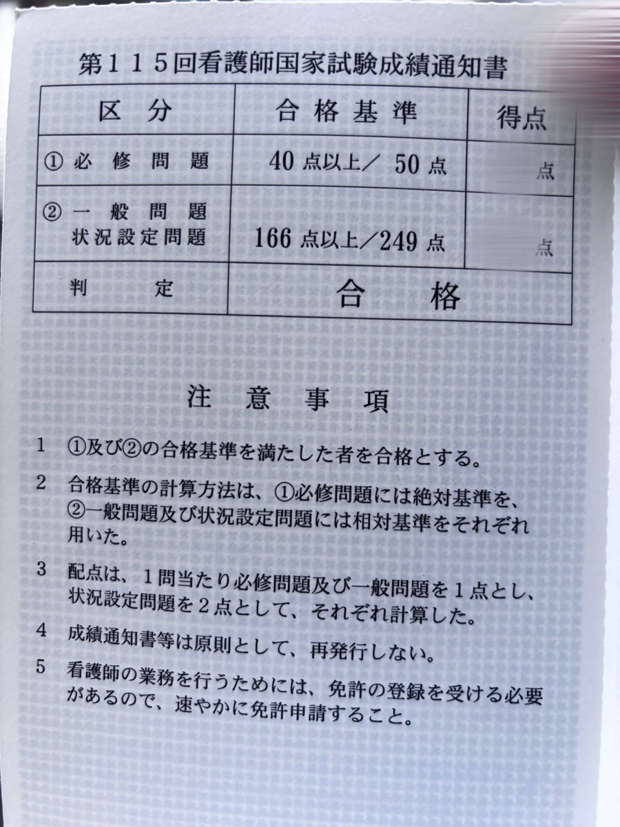 さくら🌻 tweet media