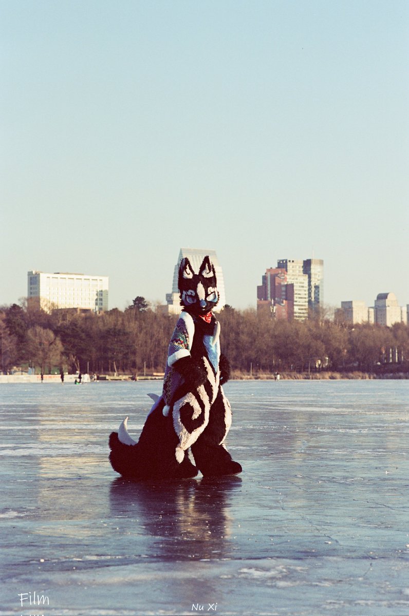 星效-Vulptex tweet media