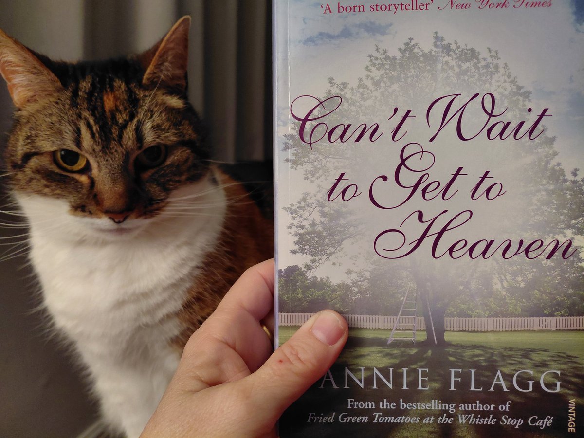 Rebecca Mason tweet media