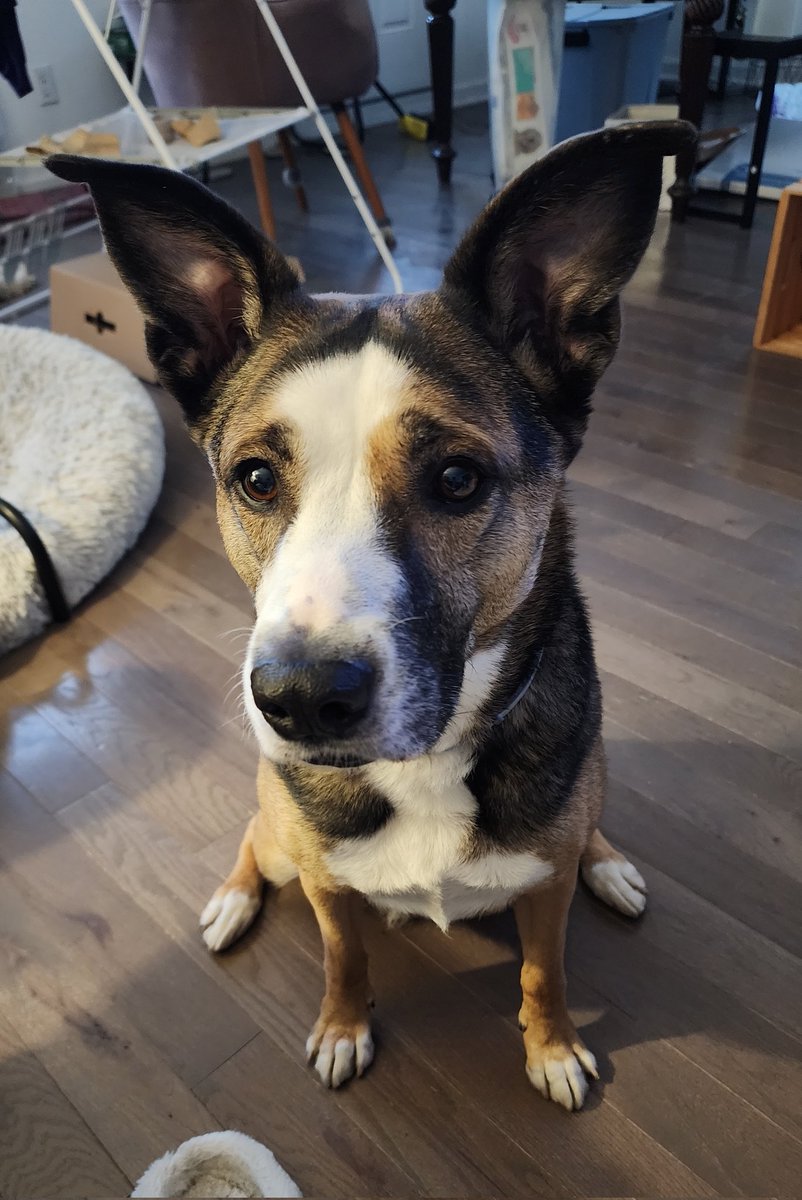 Suppy 🍑 tweet media