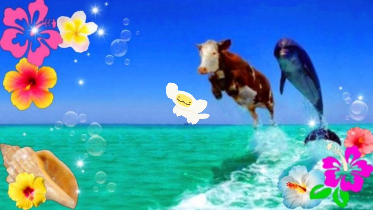 yaz 🎫 tweet media