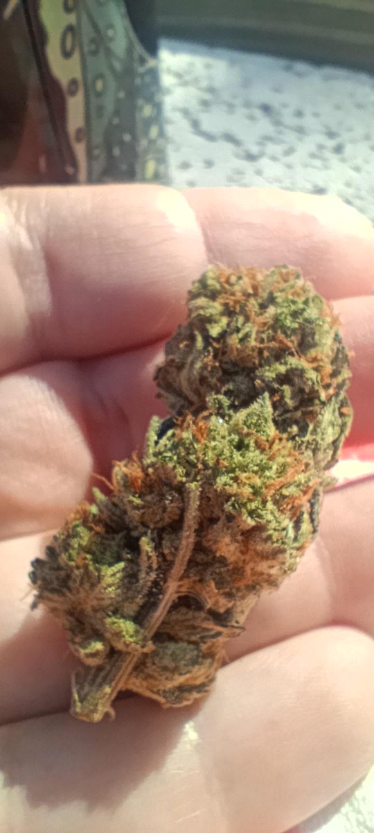 WriteWeed tweet media