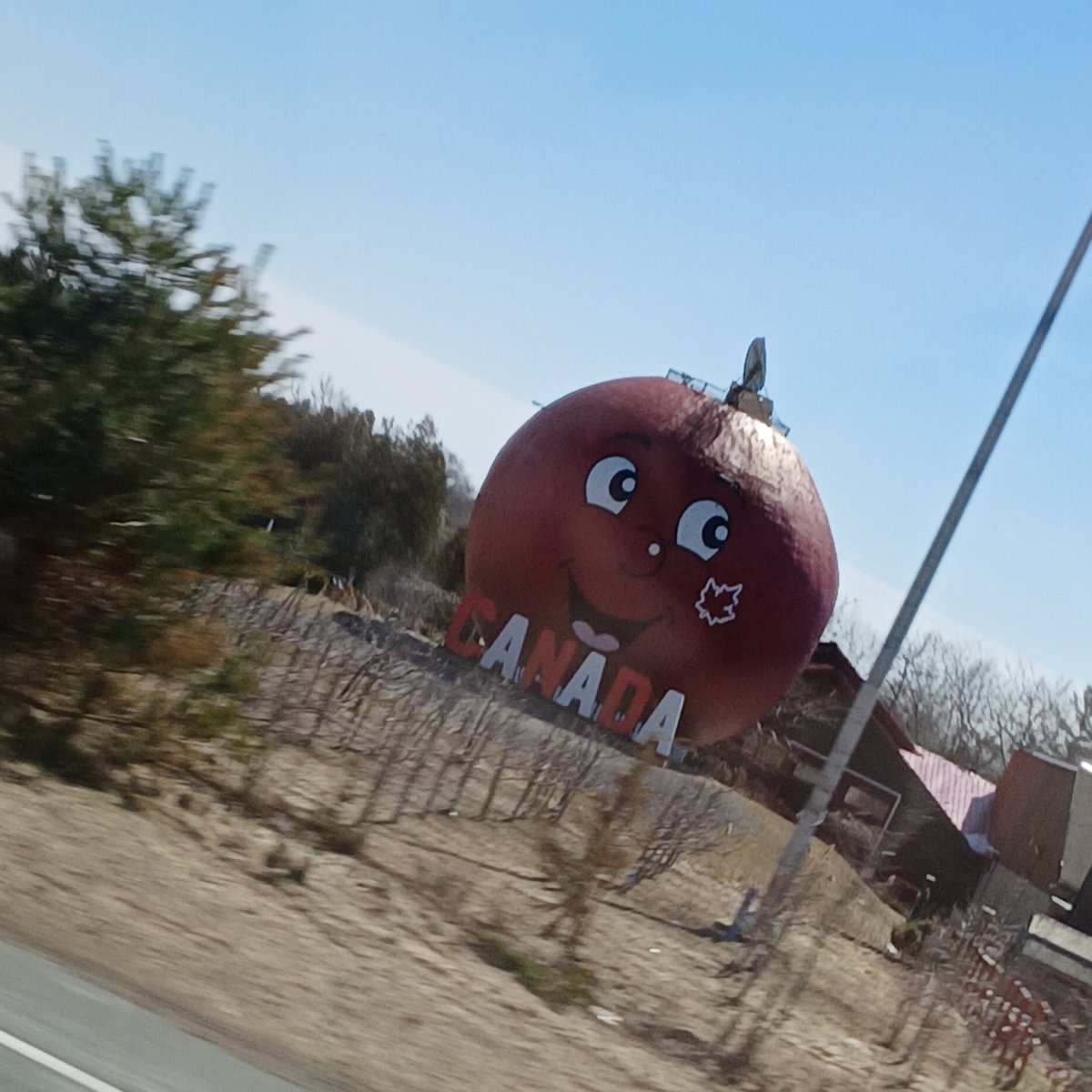 ✧ Mercy 🤍🪻˖°. emergency coms 🇨🇦《૮ • ✧ • ა》 tweet media