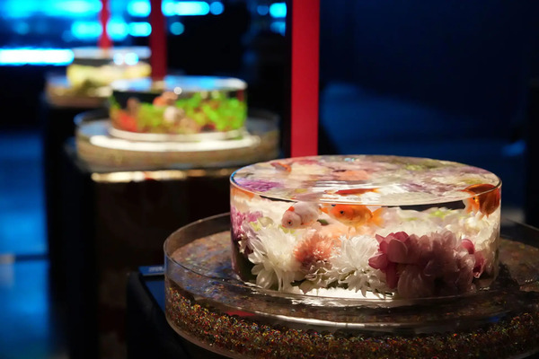 ストレートプレス tweet media