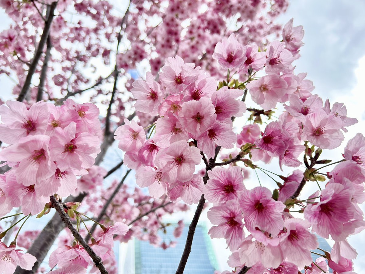 グラングリーン大阪（GRAND GREEN OSAKA）【公式】 tweet media