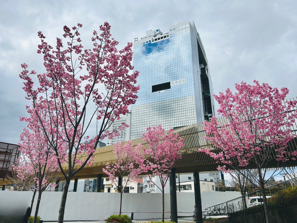 グラングリーン大阪（GRAND GREEN OSAKA）【公式】 tweet media