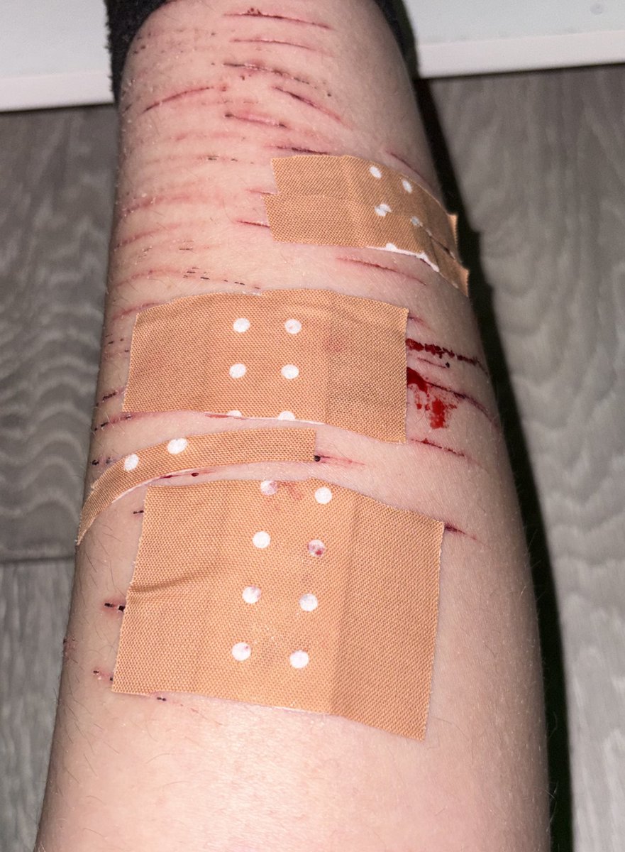 chance of shtwt tweet media