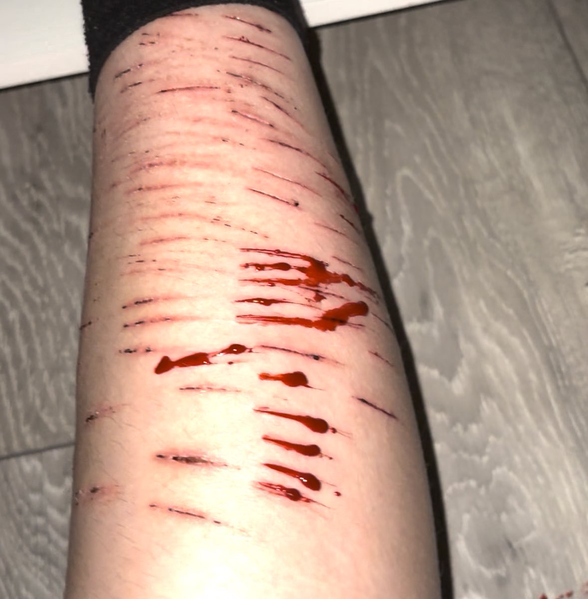 chance of shtwt tweet media