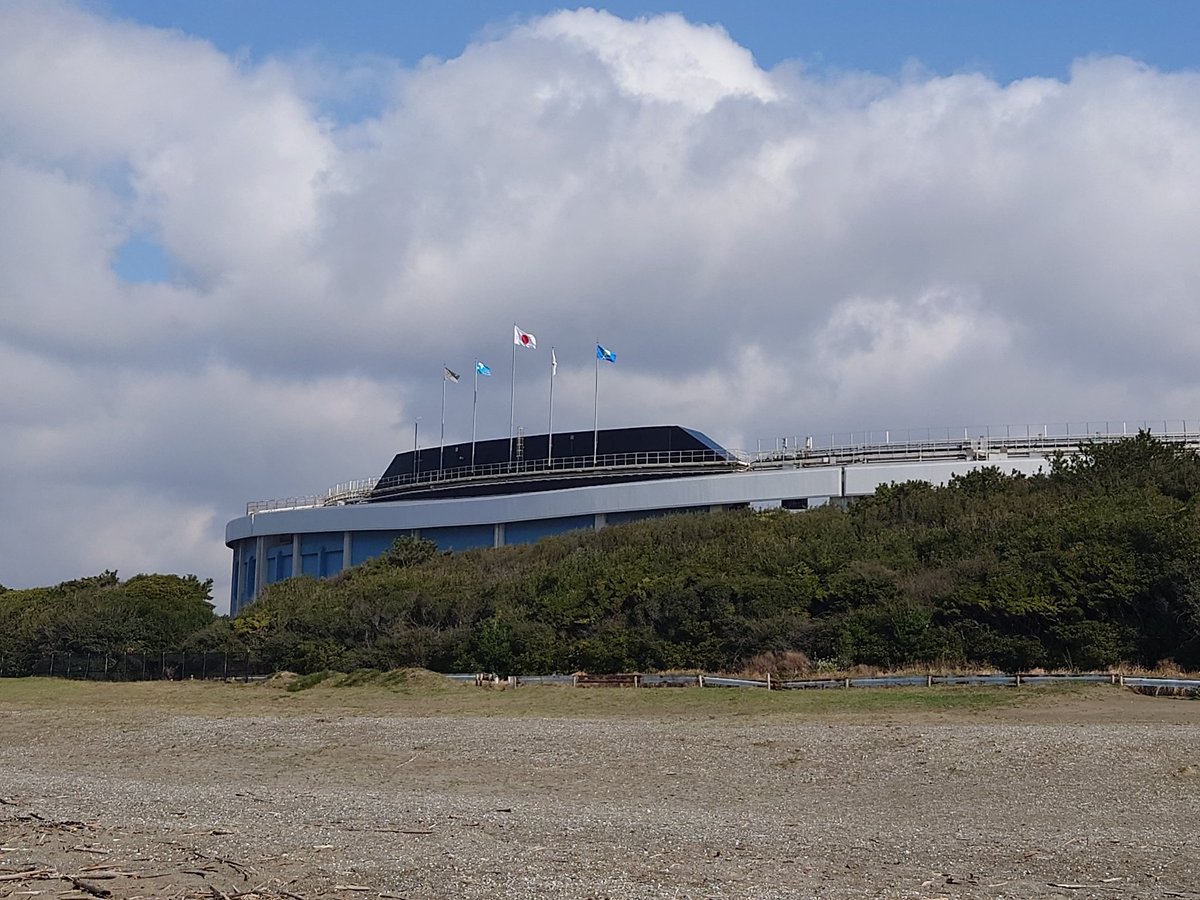 秋津のタカさん🦁 tweet media