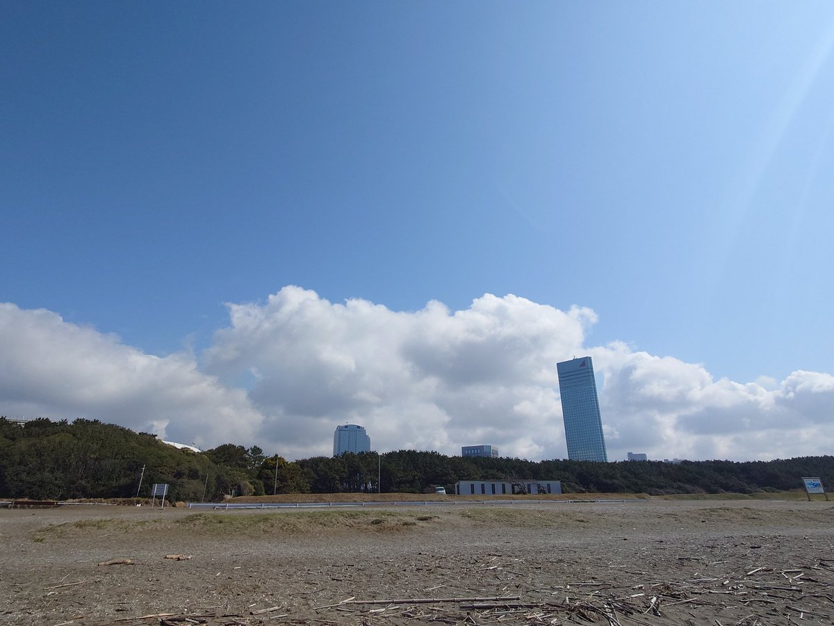 秋津のタカさん🦁 tweet media