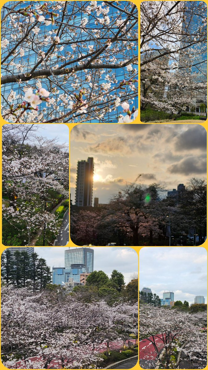 uJUR0vBIWa2w5p9's tweet image. ちょっとお花見🌸してから
OSMANDに行ってきました✨
久しぶりの仮面職人さん🎭
お話しもマジックもちょっと
変わってました。
新しい仮面職人さんでした👌
 #魔法使いアキット
 #OSMAND