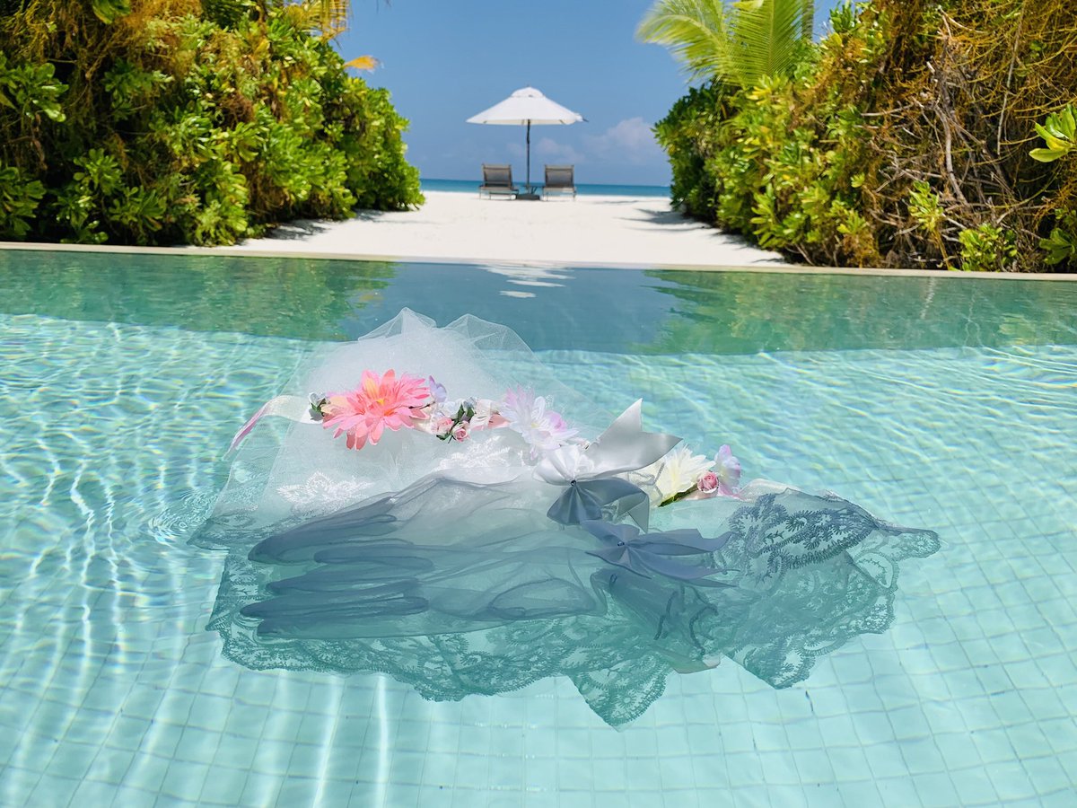 小幡いな🌱イラストレーター tweet media